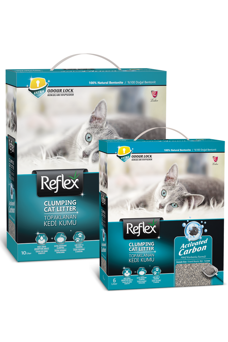 REF. BOX 6 LT GRİ ACTİVE CARB K.KUMU(164-TURKUAZ)M