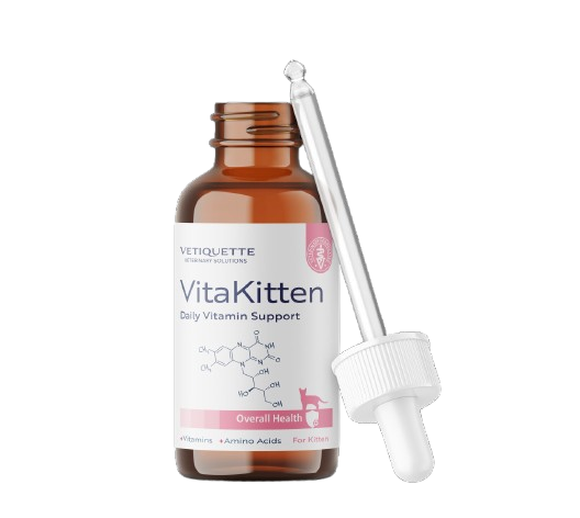 VETİQUETTE VITA KİTTEN 30ML*6..(166)