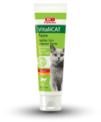 VİTALİ-CAT YETİŞKİN KEDİ VİTAMİN PASTA 100 ML*12