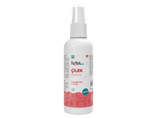 REF.CARE ÇİLEK KOKULU KÖP KOLONYA 125ML*12(829)