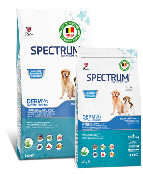 SPECTRUM KÖPEK MAM DERM-26...12 KG