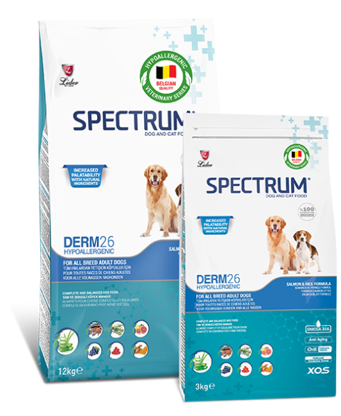 SPECTRUM KÖPEK MAM DERM-26... 6*3 KG