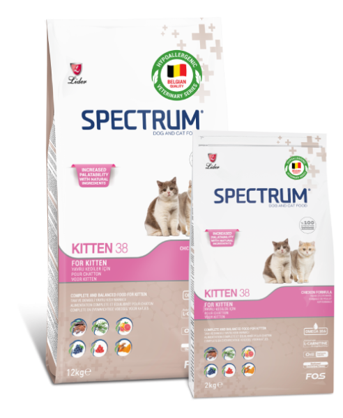 SPECTRUM KEDİ MAM YAVRU-KITTEN-38...12*2 KG