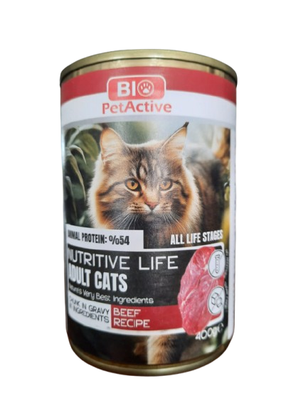 BİO PETACTİVE KEDİ KON. BİFTEKLİ 400GR*12(152)