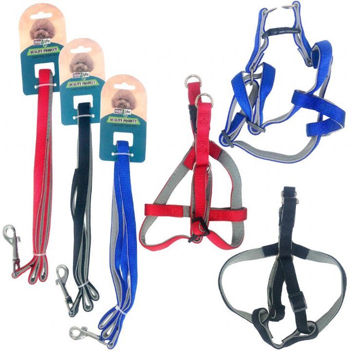 MAXİ LİFE GEZDİRME+GÖĞÜS TAS YUM DOLU 20MM.(296)