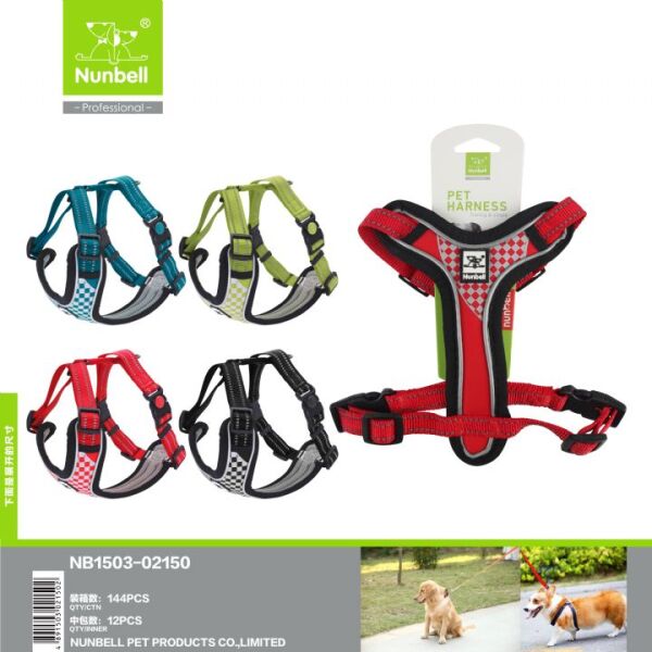 NUNBELL KÖPEK TASMASI (L)...(173)