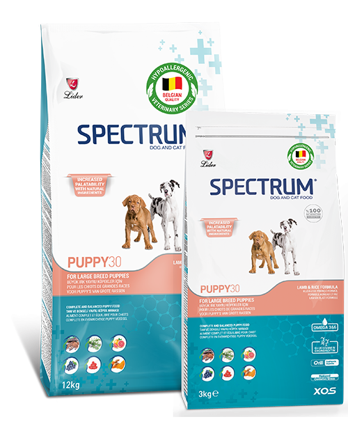 SPECTRUM KÖP MAM LAR.BRED PUPY-30...6*3KG