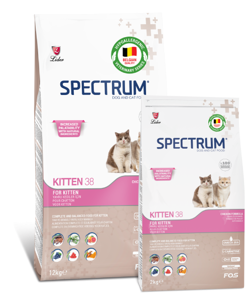 SPECTRUM KEDİ MAM.YAVRU KİTTEN-38...12 KG