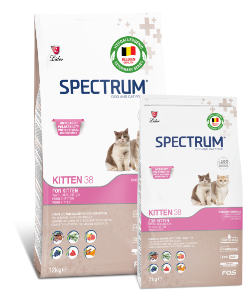 SPECTRUM KEDİ MAM.YAVRU KİTTEN-38...12 KG