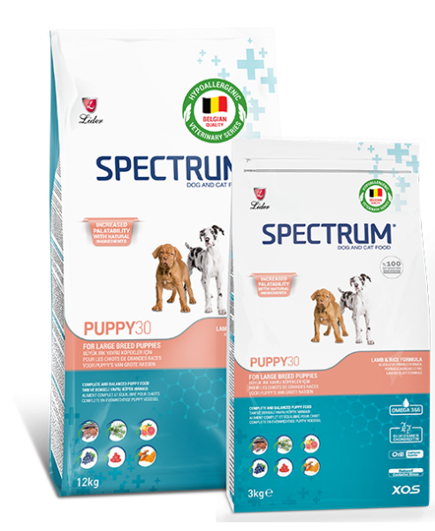 SPECTRUM KÖP MAM LARGE-BRED PUPY-30...12 KG