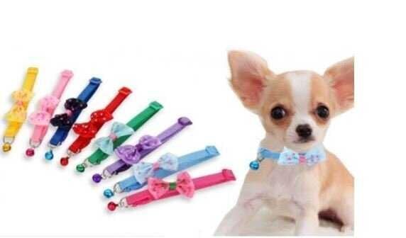 CAT&DOG FİYONKLU BOY TASMASI .( 12 Lİ SET )..(184)