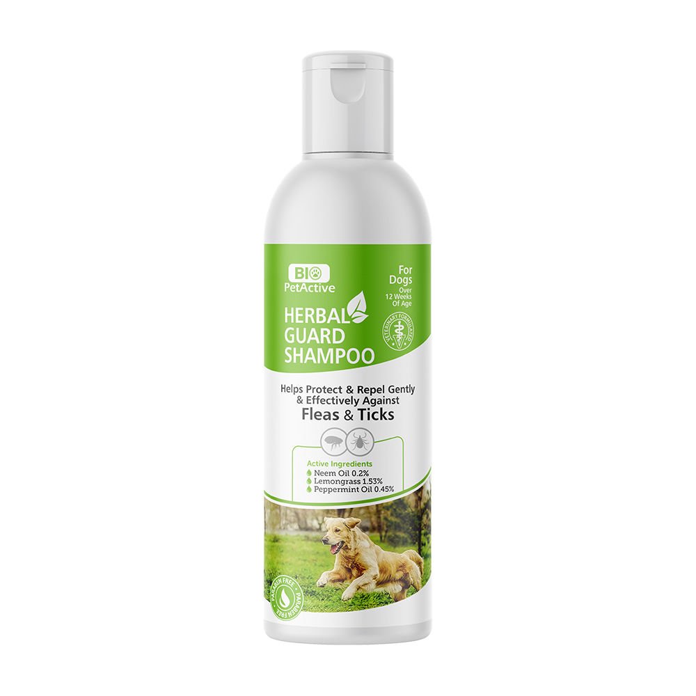 HERBAL GUARD ANTİSEPTİK KÖP ŞAM 250ML*6..(837)