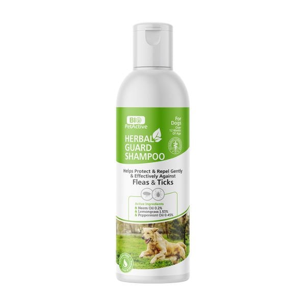 HERBAL GUARD ANTİSEPTİK KÖP ŞAM 250ML*6..(837)