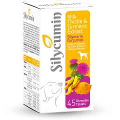 SİLYCUMİN-1.5 GR 6* 67.5 GR (45 TABLET)