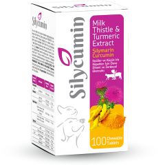 SİLYCUMİN-0.5 GR 6*50 GR ( 100 TABLET)