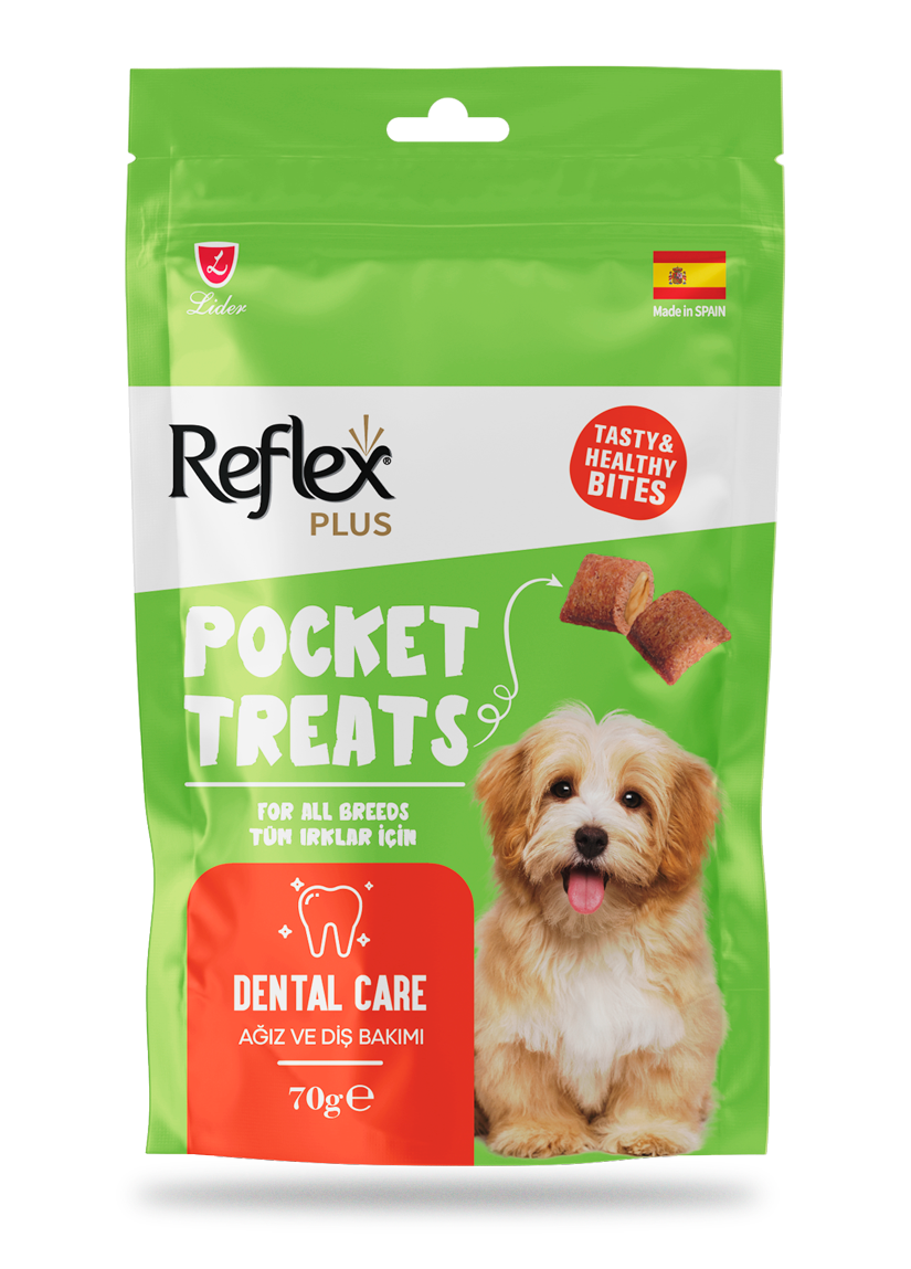 REFLEX POCKET KÖP ÖDÜL DENTAL CARE 70GR*12..(357)