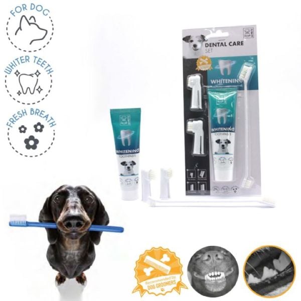 M-PETS BEYAZLATICI KÖP DİŞ MACUNU+FIRÇA SETİ.(609)