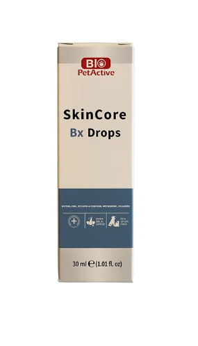 SKİNCORE BX DROPS (TÜY DÖK ÖNLEYİCİ) 30ML*6..(411)