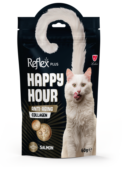 REF HAPPY HOUR ANTİ-AGİNG COL KEDİ ÖDL60GR*10(061)