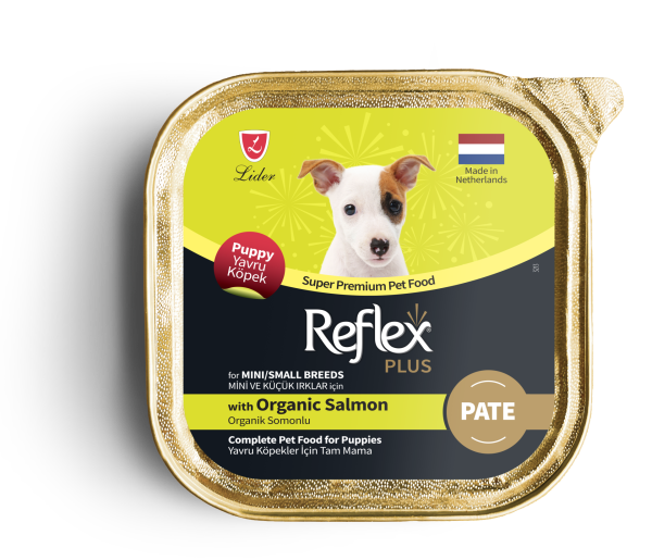 REF.PLUS (XS-S) KÖP ALM YAV ORG.SOM  85*16..(773)