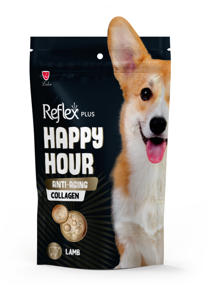 REF HAPPY HOUR ANTİ-AGİNG KÖP ÖDÜL 60GR*10...(054)