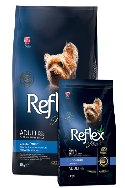 REF PLUS KÖP (XS/S) SOMON YETİŞKİN MAM. 8KG..(391)