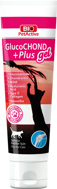 GLUCOCHOND PLUS GEL 100ML*12..(444)   (***)