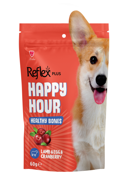 HAPPY HOUR SAĞ KEM İÇİN DES KÖP ÖDÜL 60GR*10.(319)