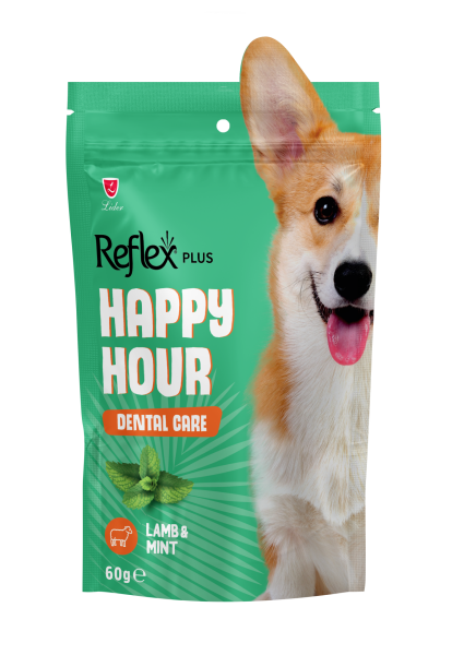 HAPPY HOUR AĞIZ&DİŞ SAĞ İÇİN KÖP ÖDÜL 60GR*10(326)
