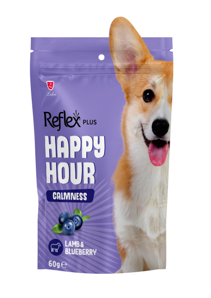HAPPY HOUR SAKİNLEŞMEYİ DES KÖP ÖDÜL 60GR*10.(333)