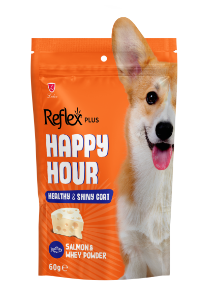 HAPPY HOUR SAĞ&PARL TÜY DES KÖP ÖDÜL 60GR*10.(340)