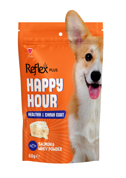 HAPPY HOUR SAĞ&PARL TÜY DES KÖP ÖDÜL 60GR*10.(340)