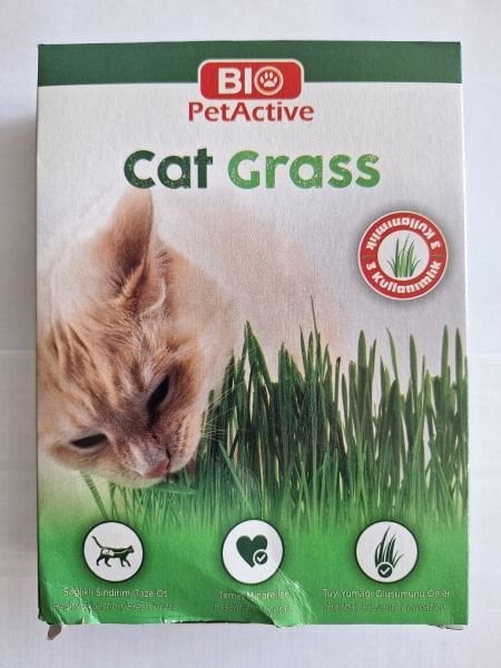 CAT GRASS KEDİ ÇİMİ ..(865)