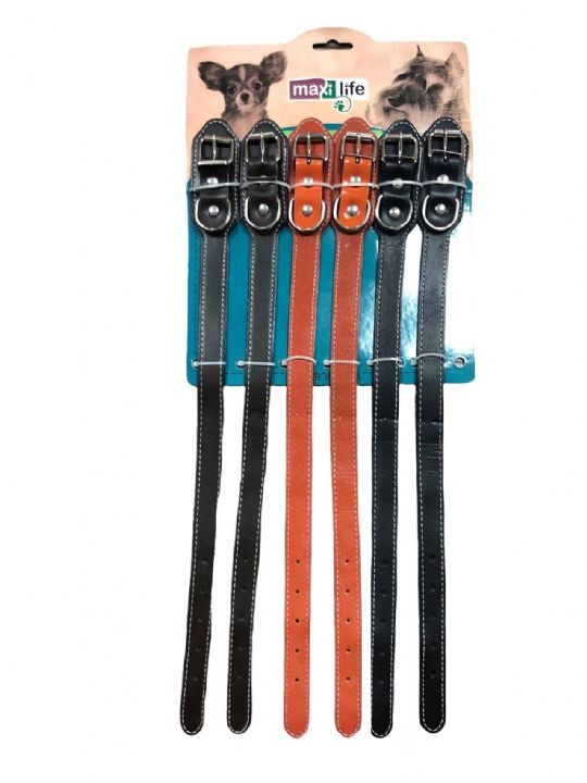 MAXİ LİFE KÖP BOY TASMA 2CM*50CM 6LI SET..(219)