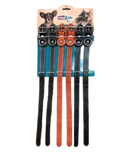 MAXİ LİFE KÖP BOY TASMA 2CM*50CM 6LI SET..(219)