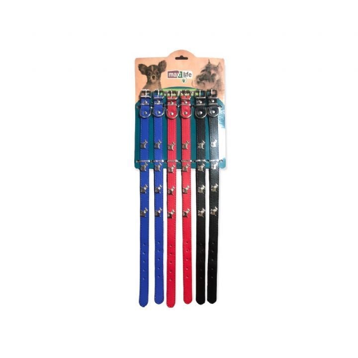 MAXİ LİFE KÖP BOY TASMA 2CM*50CM 6LI SET..(257)