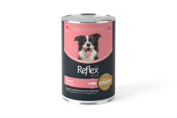 REF PLUS KÖP KONS SOMONLU SOSLU 400GR*12..(704)